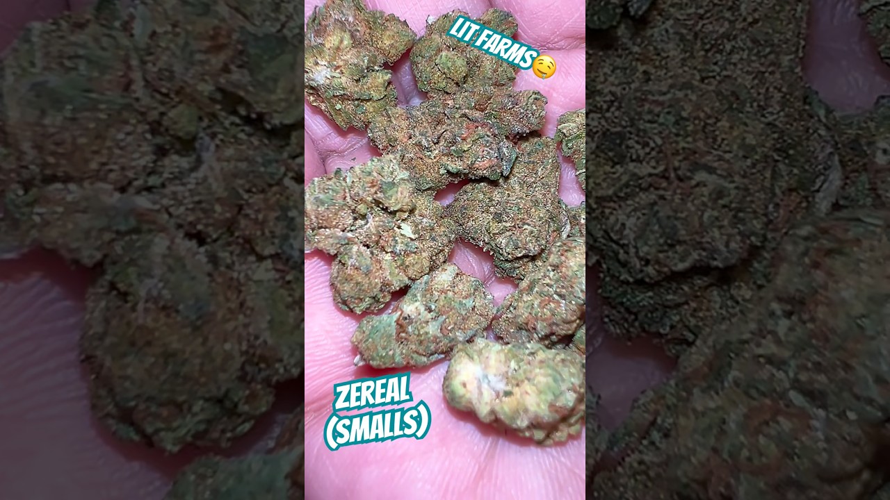 Lit Farms has SMALLS!? #zereal #subscribe #review #freethatplant #420community #litfarms
