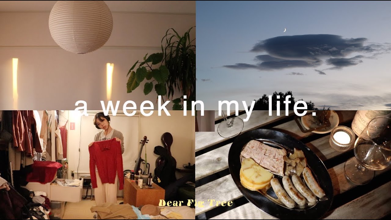 【vlog】衣替え、秋ヒュッゲ、配送作業、簡単にできる中華スープ紹介 etc...