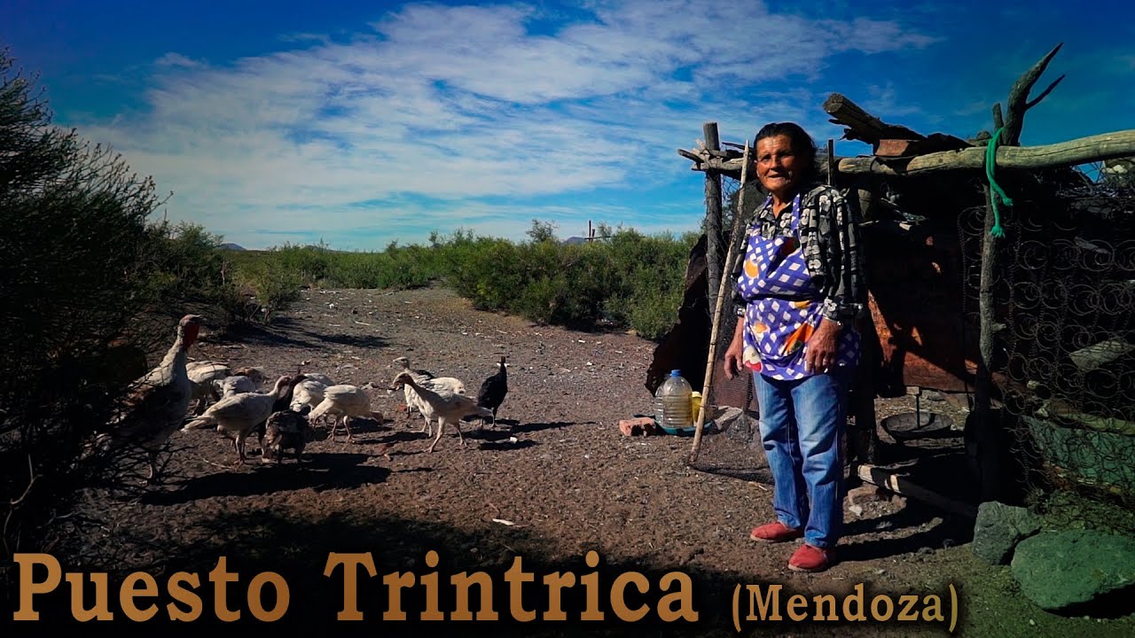 236 Puesto Trintrica Flia. Ortiz  2da. Parte (Mendoza) - Estancias y Tradiciones