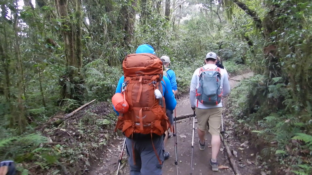 Machame gate to Machame camp