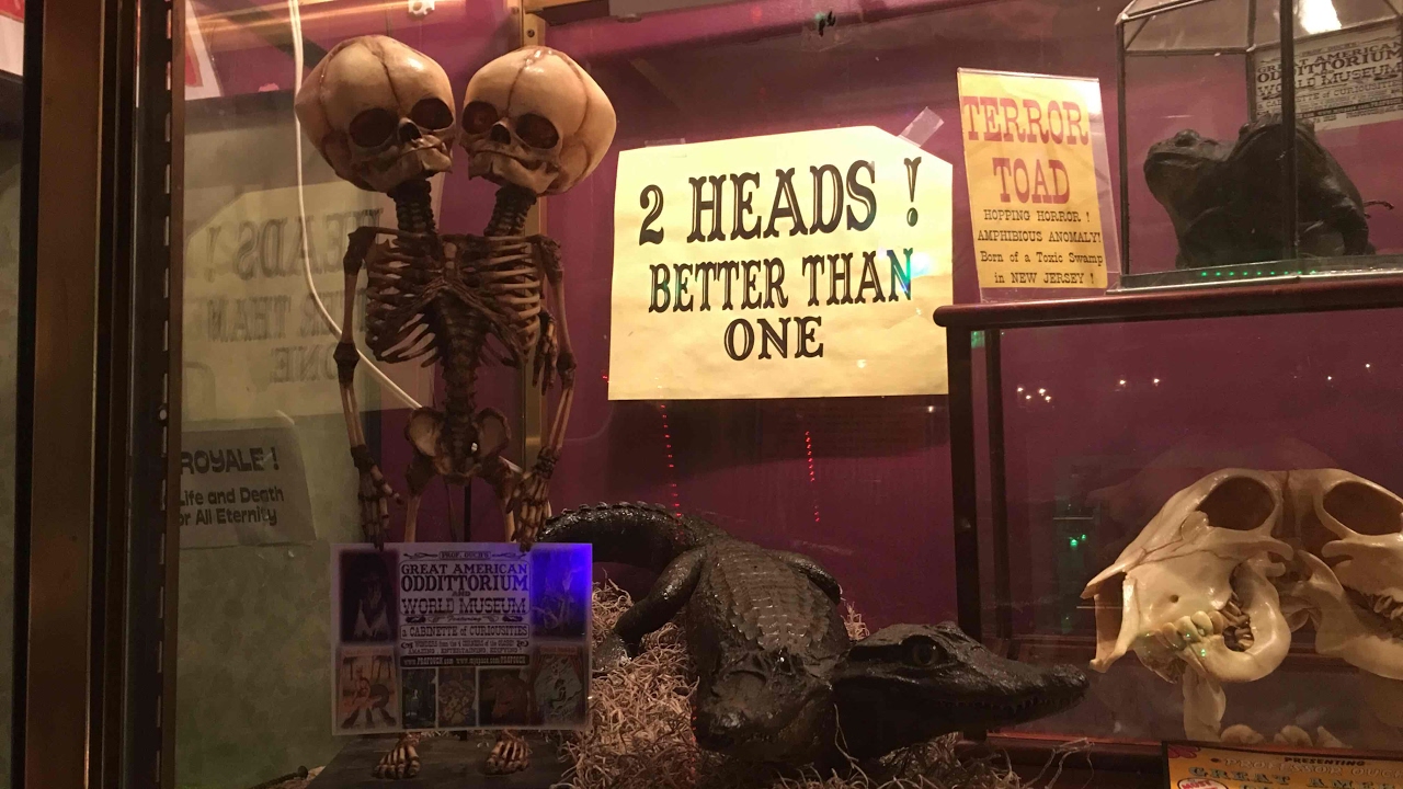 Professor Ouch's Odditorium