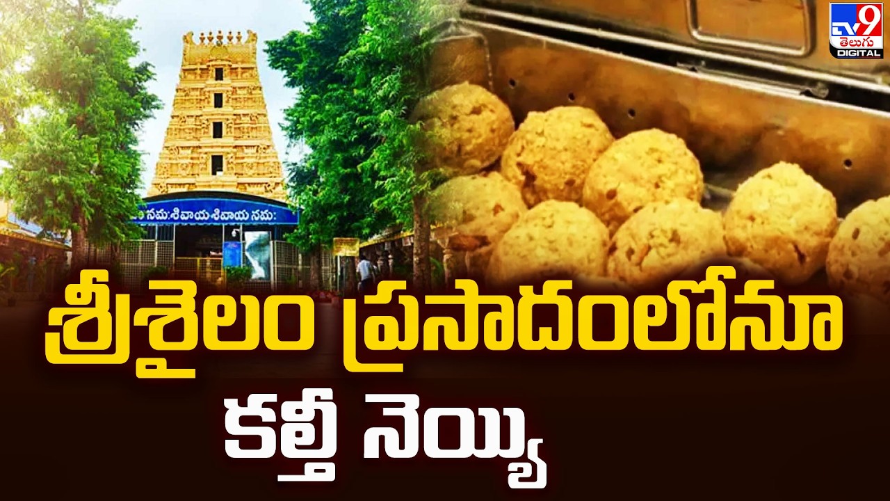 శ్రీశైలం ప్రసాదంలోనూ కల్తీ నెయ్యి | Tirumala Laddu Issue - TV9