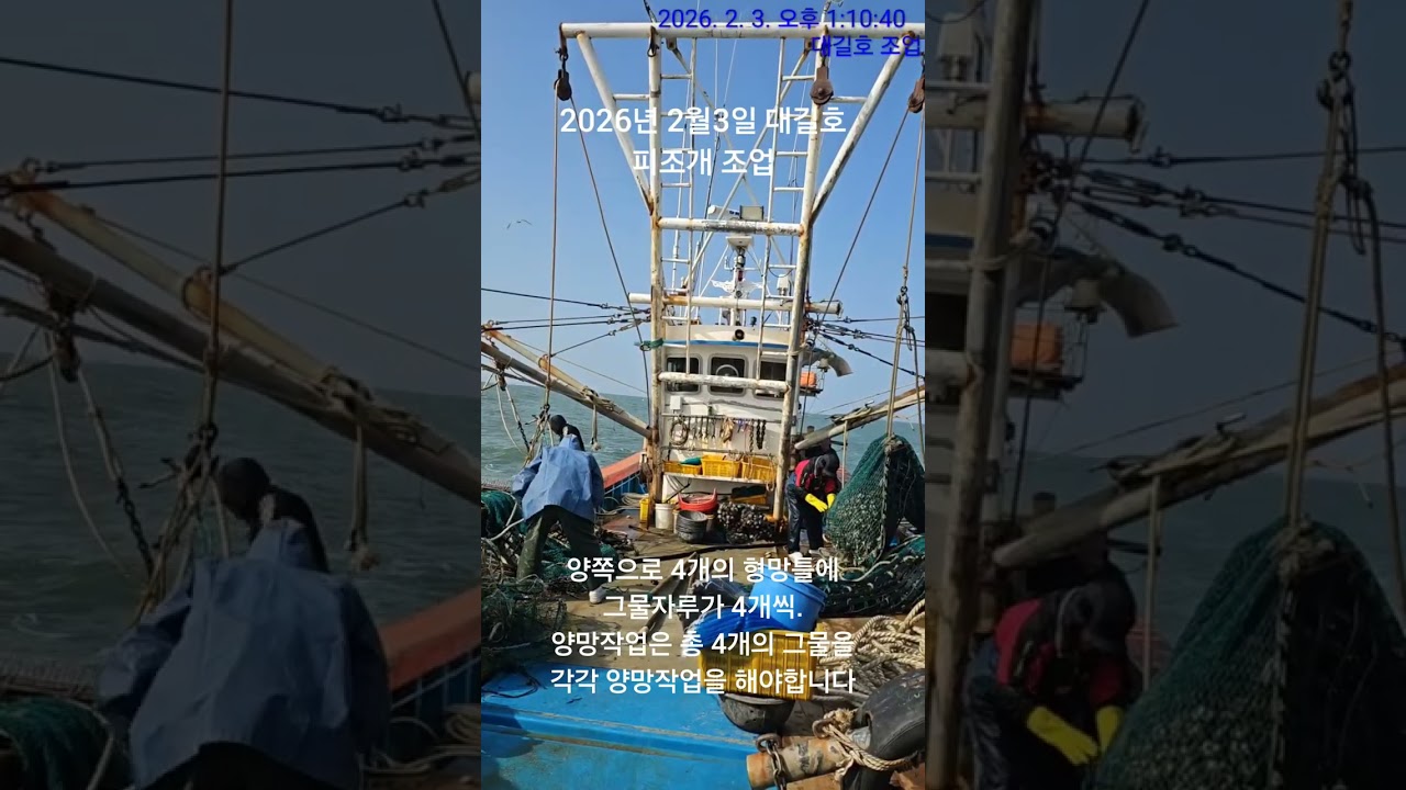 2026년 2월3일 대길호 피조개 조업 현장