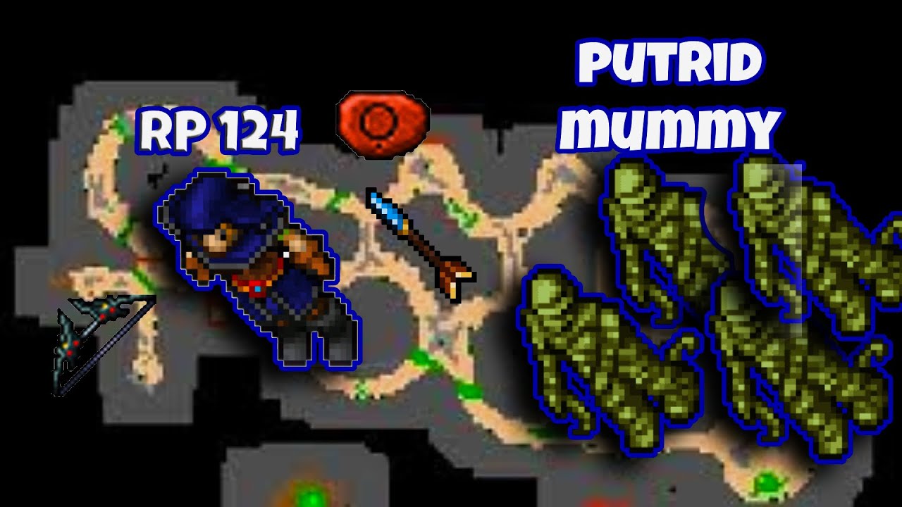 Hunt Royal Paladin 80+ Putrid Mummy  200k xHr (Lo mejor para paladín)
