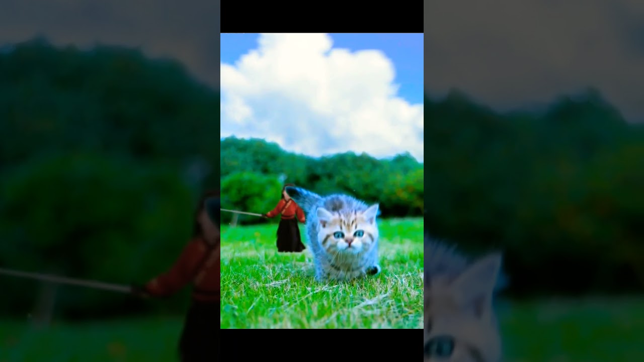 Dangerous cat jumped 🦘 from a girl #youtubeshorts #youtubeshort #4vloggetiers #9jacomedy