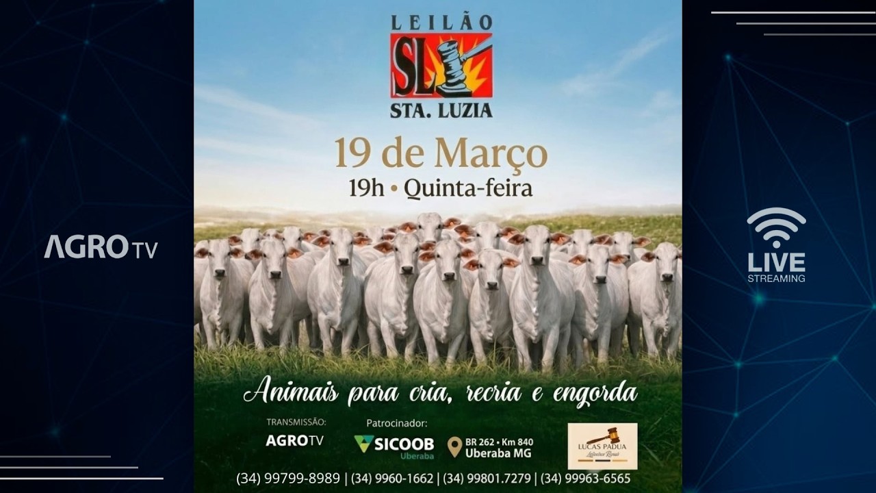 LEILÃO SANTA LUZIA - 19/03/2026