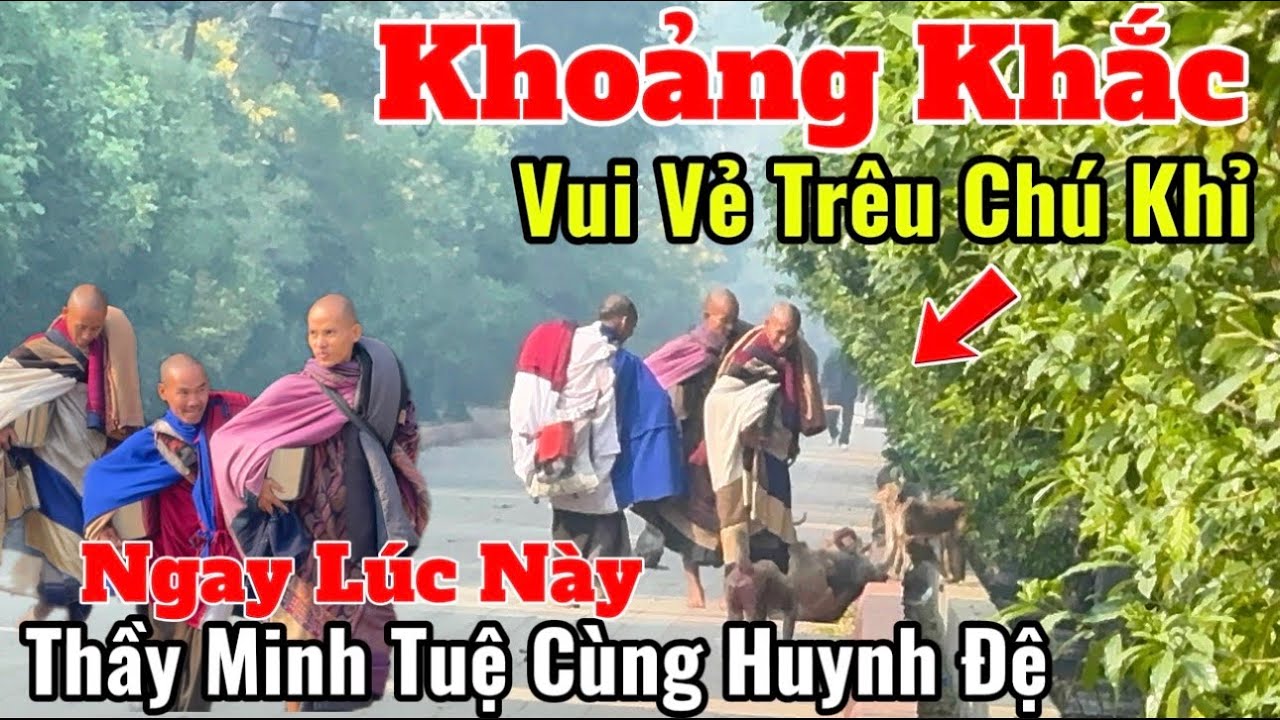 Khoảng Khắc Thầy Minh Tuệ Vui Vẻ Trêu Chú Khỉ Cùng Các Sư Phụ Ngay Lúc Này#thayminhtue#thienchiukho
