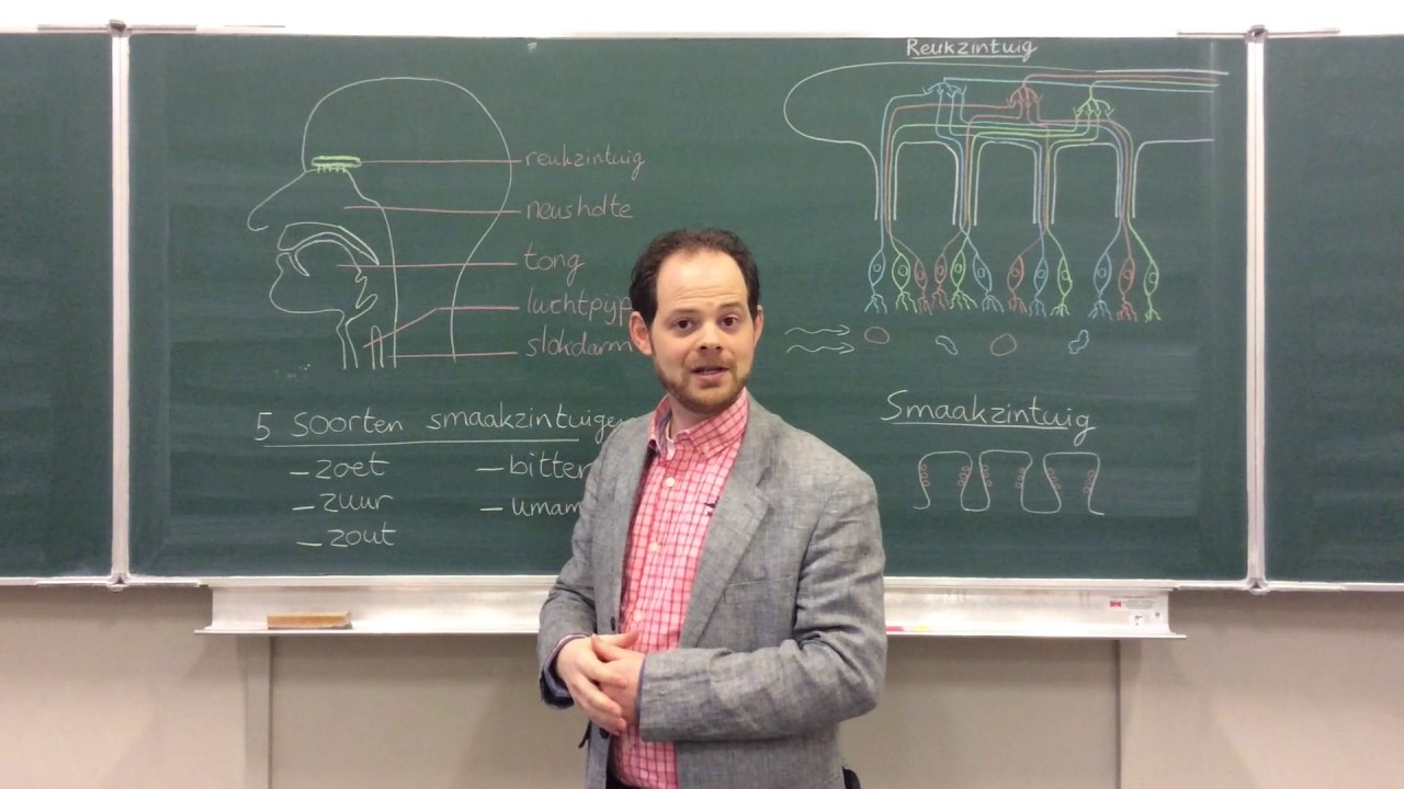 Biologie van Tim - Mondholte en neusholte