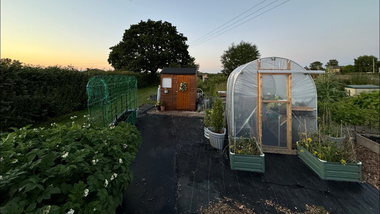 EP 59: A New Frame For Beans and Peas That Hopefully Won’t Collapse In The Wind! Plot no.9
