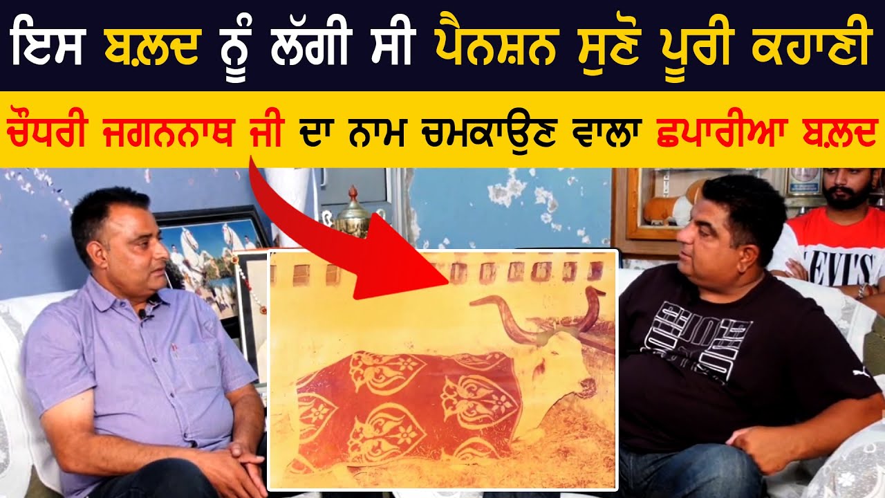 ਇਸ ਬਲ਼ਦ ਨੂੰ ਲੱਗੀ ਸੀ ਪੈਨਸ਼ਨ ਸੁਣੋ ਪੂਰੀ ਕਹਾਣੀ | Chaudhary Jagannath Ji | OX RACES 2025