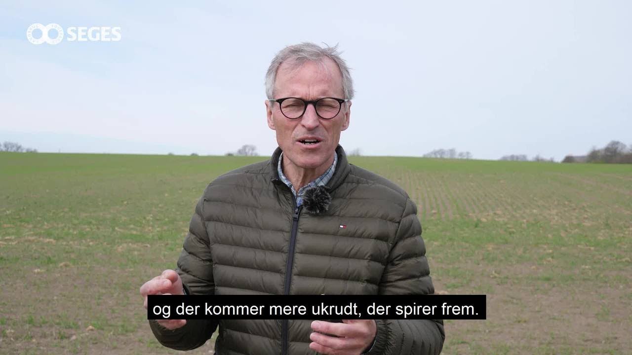 T&oslash;rke og plantev&aelig;rn - hvad g&oslash;r du?