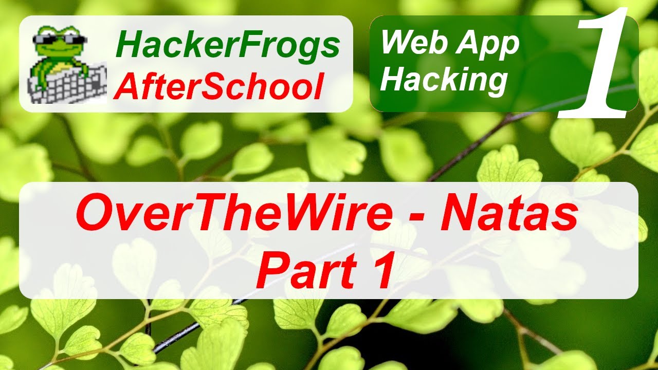 HackerFrogs AfterSchool - Web App Hacking Workshop 1 - Overthewire - Natas CTF Part 1 of 2