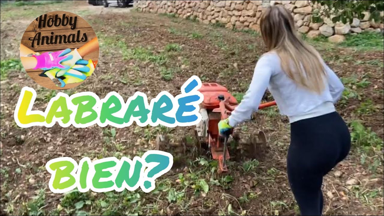 Primera vez labrando la tierra / First time tilling the land