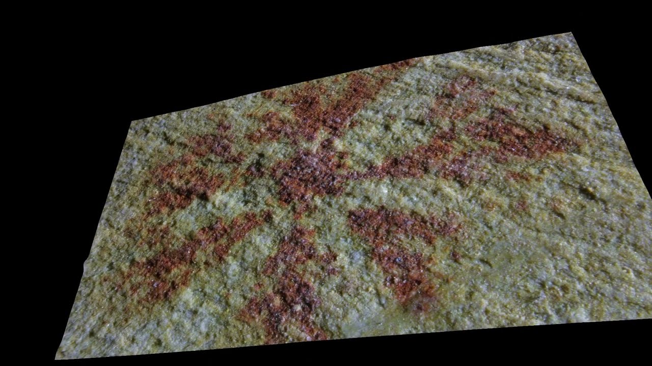 Unknown Chengjiang Lagerstatte  specimen from Cambrian Period