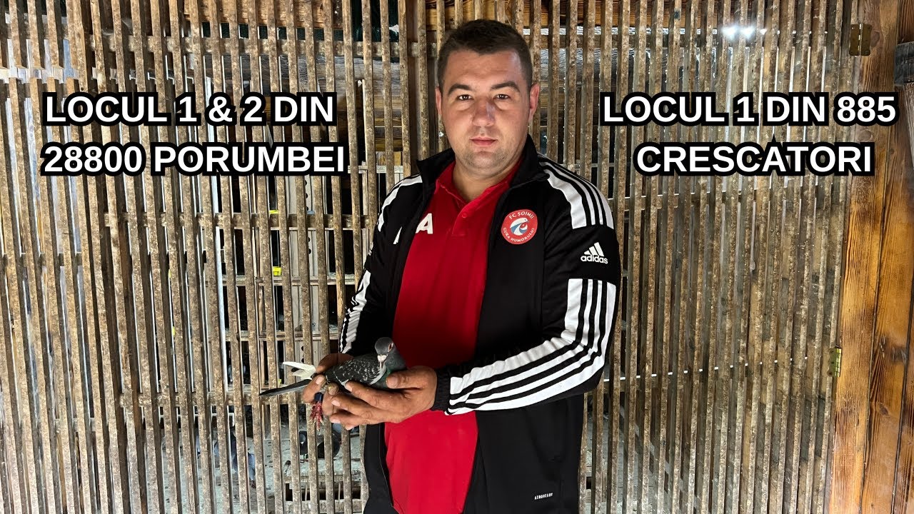 LOCUL 1 & 2 DIN  28800 PORUMBEI & LOCUL 1 CRESCATOR!  ADOMNITEI ADRIAN