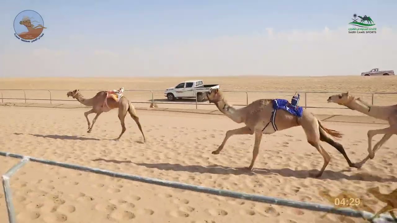 الشوط الاول ثنايا بكار / عبور ل فرحان محمد طراخم العصيمي