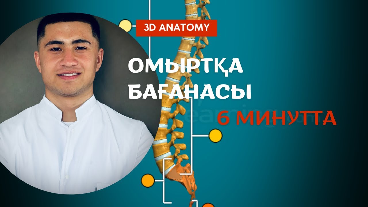 🧠 Омыртқа Бағанасы — 6 МИНУТТА!

Анатомияның алғашқы сабағыАНАТОМИЯ |3D Формат | Қарапайым Түсіндіру