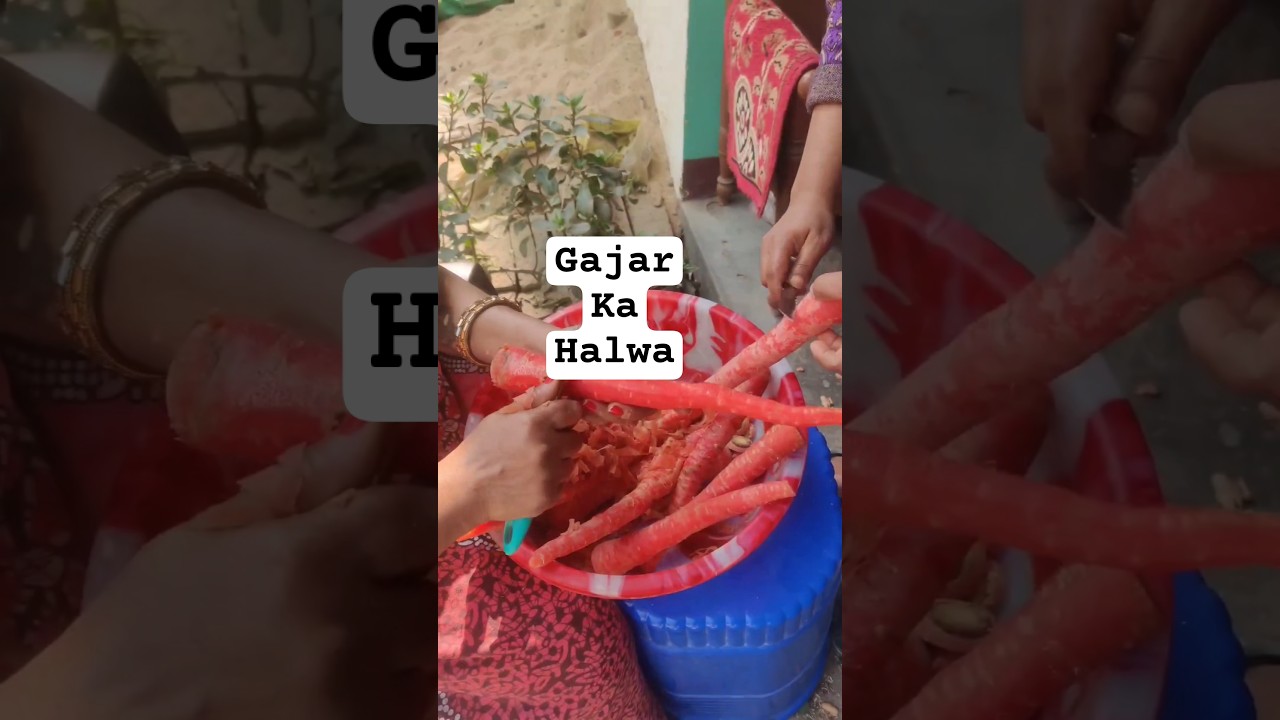 Gajar Ka Halwa Recipe 🤤😋