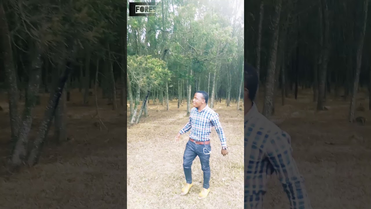 MITI YA MIWATI NI MITI BORA KWA MAEBDELEO YA UCHUMI WA MISITU NA MAENDELEO YA VIWANDA TANZANIA,