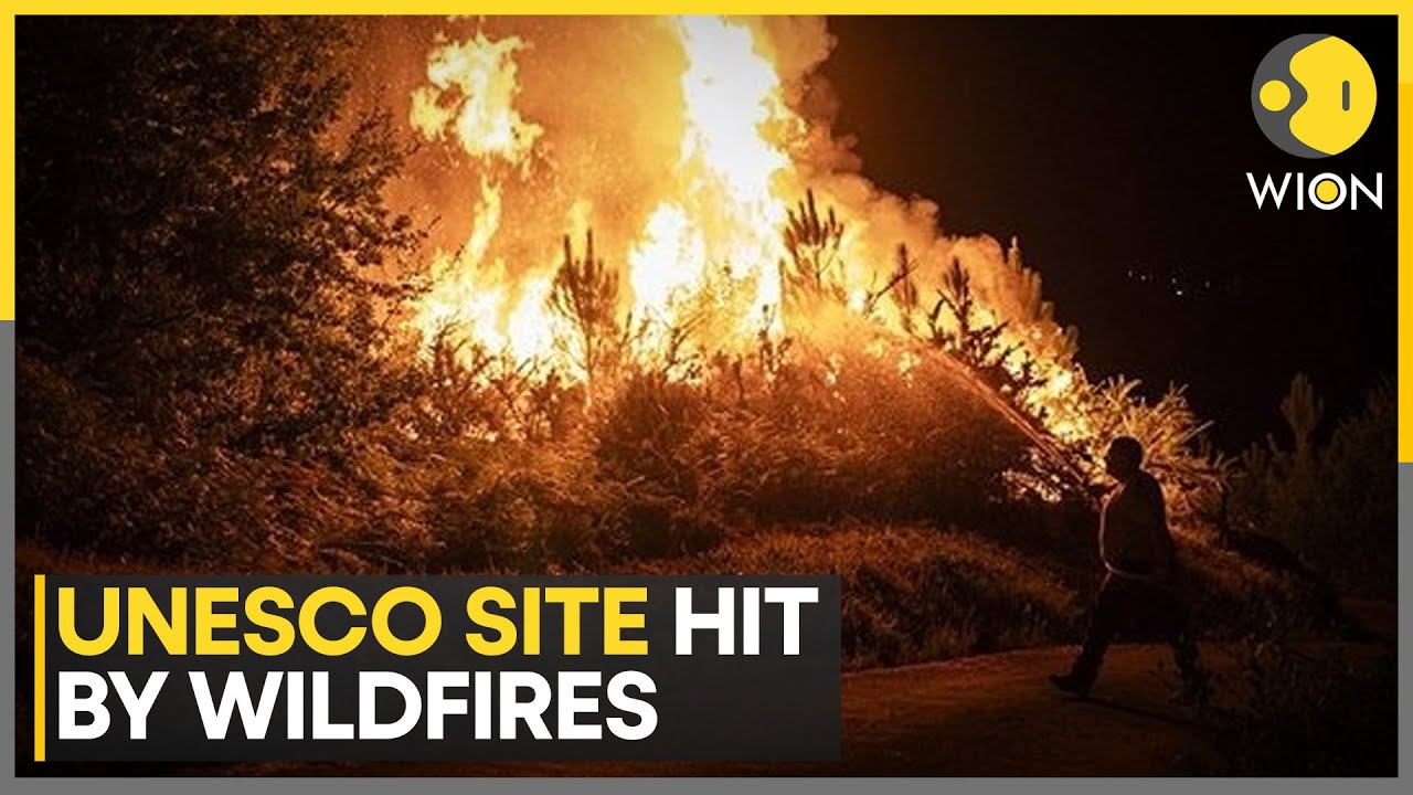 Spain Wildfires: More Than 400,000 Hectares Devastated by Fires, Including UNESCO Site Las Médulas