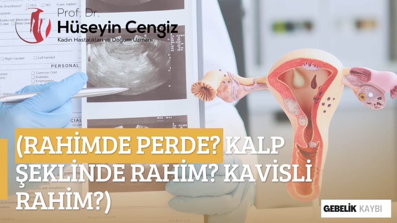 KAVİSLİ RAHİM🏹 (ARKUAT UTERUS) 🧩NEDİR? (RAHİMDE PERDE? KALP ŞEKLİNDE RAHİM? KAVİSLİ RAHİM?)