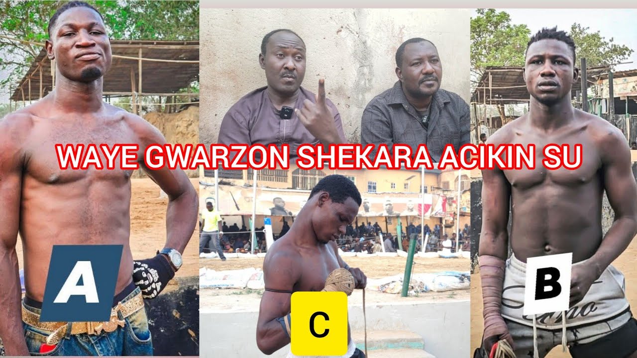 A DUK YAN DAMBE WANENE YAFI YAWAN KISA A WANNAN SHEKARA D.DOGO,ALASAN,AUTAN MAMMAN WANENE GWZ.SHEKAR