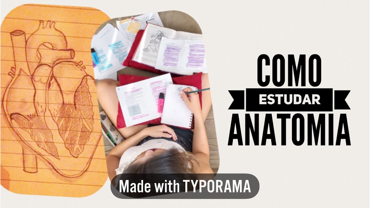 COMO ESTUDAR ANATOMIA: AS MELHORES DICAS!