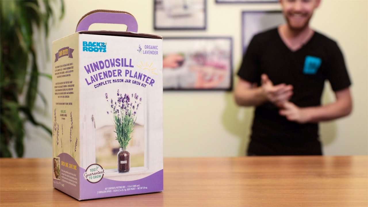 Back to the Roots Windowsill Lavender Planter: Germination Best Practices