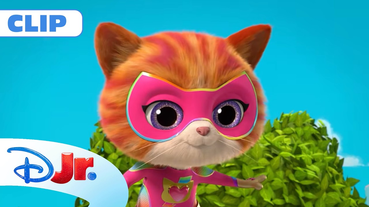 🐱 Ziua de naștere a lui Ginny | Super Pisicuțe | Disney Junior România