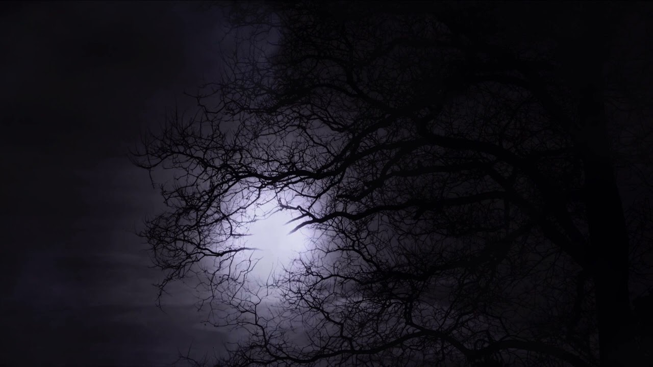 Spooky Horror Sounds | 10 Hours of Scary Music | Perfect for Halloween or Scary Events