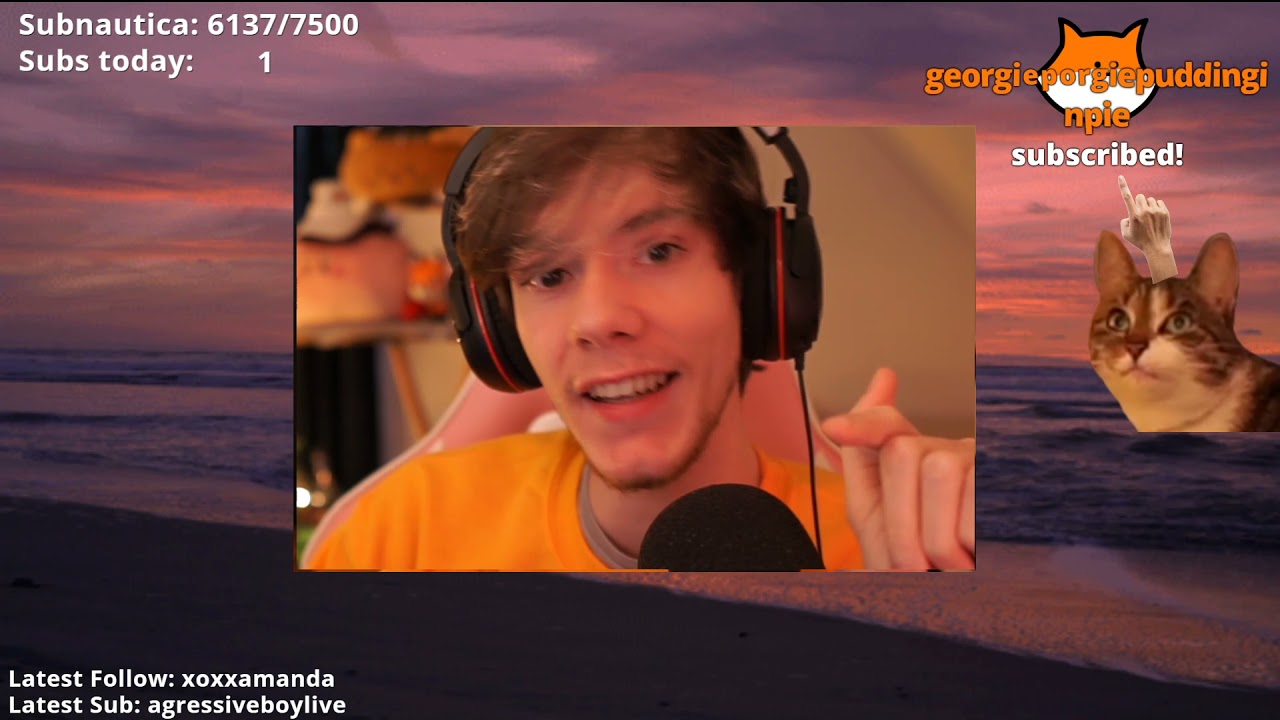 5_9_2021 — petting animals on stream - (Viva Pinata) - [Fundy]