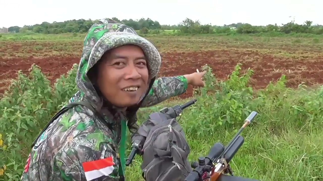 Hunting di perkebunan gandum tanah merah
