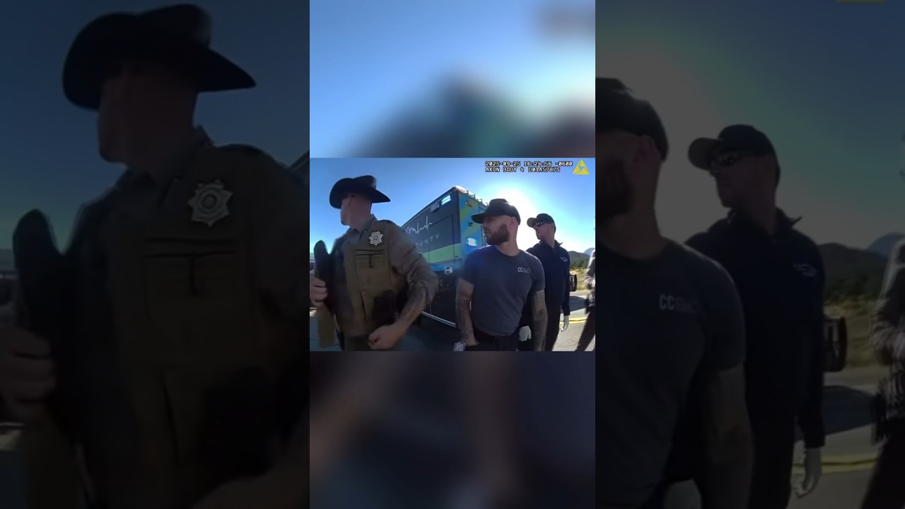 K-9 Demands Attention 😂