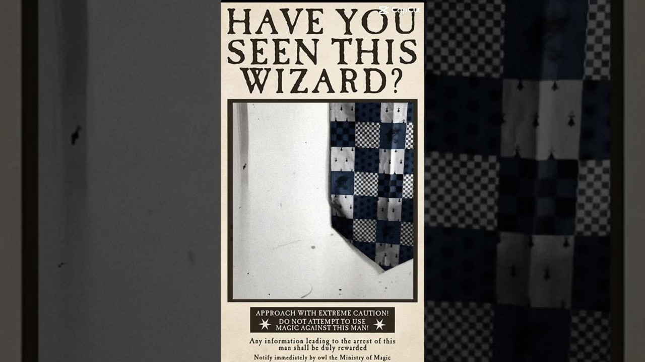 Have you seen this wizard?! #corvinal #ravenclaw #hogwarts #harrypotter Harry Potter 💙 Corvinal
