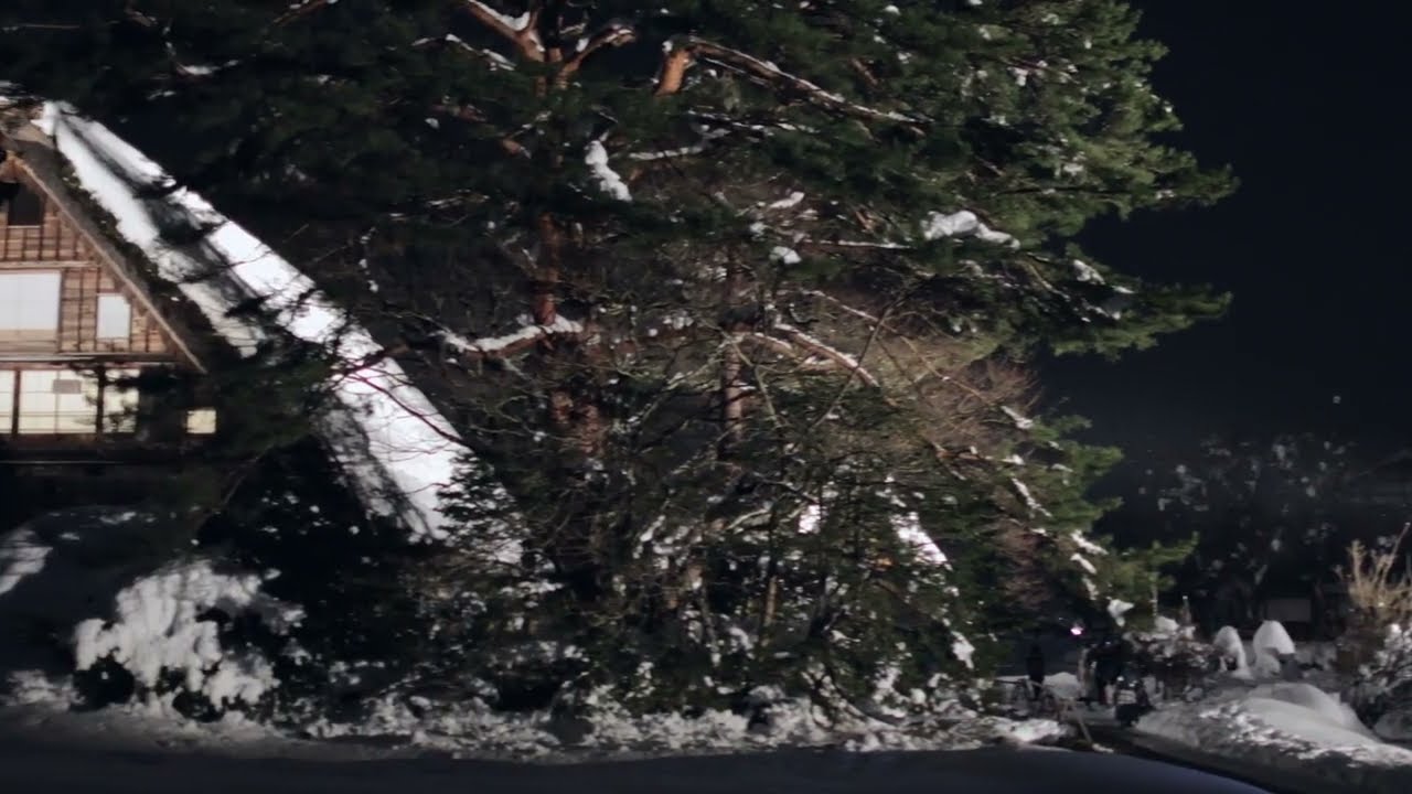 352.ライトアップ2024-1_Shirakawa-go movie images - Winter | Shirakawa village, Japan