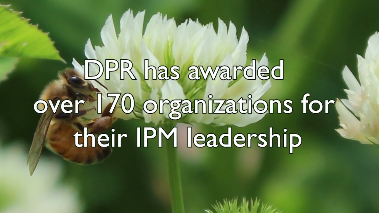 IPM Achievement Awards Nominations