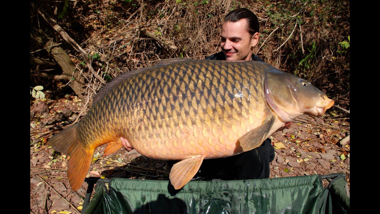 American carp record (USA) at 54lb 8oz (24,7 kg) - Rapha&euml;l Biagini