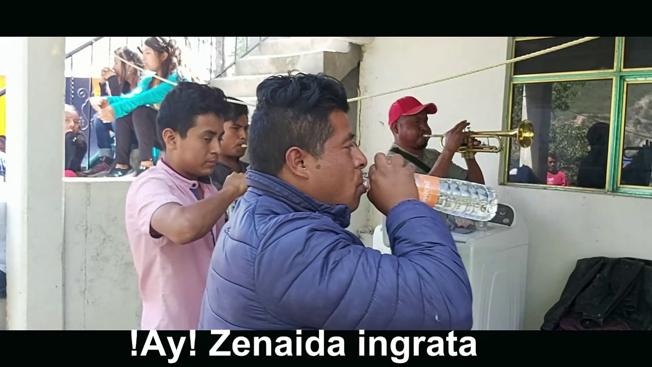 ZENAIDA INGRATA BANDA NK