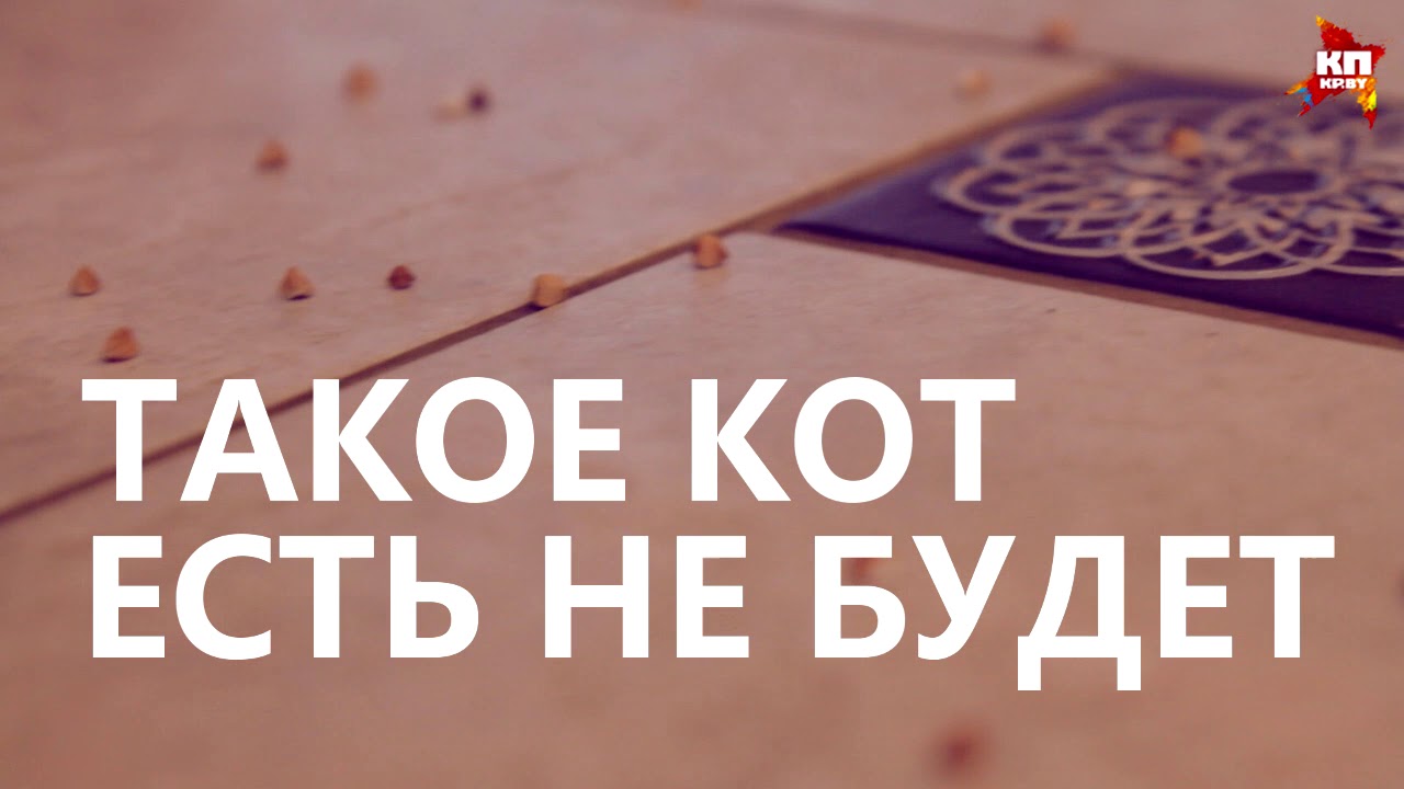 Комсомольская Правда-тест iCLEBO Omega.