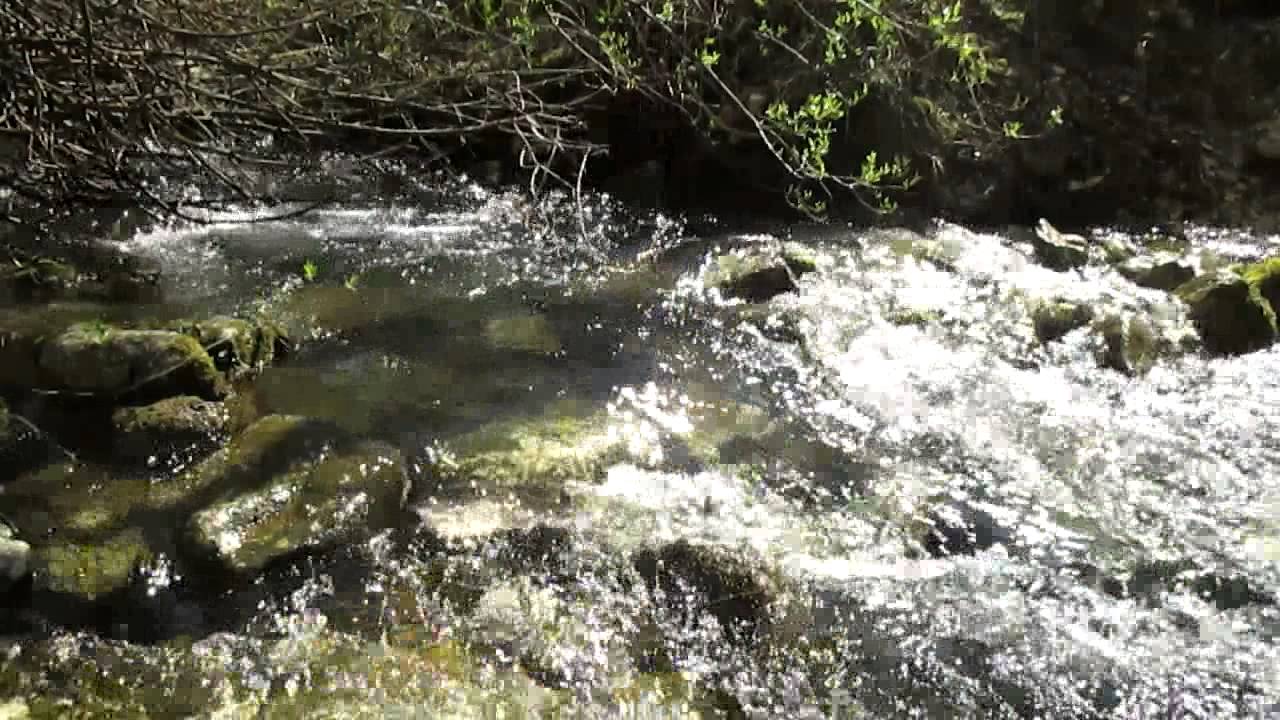 Suono di un RUSCELLO