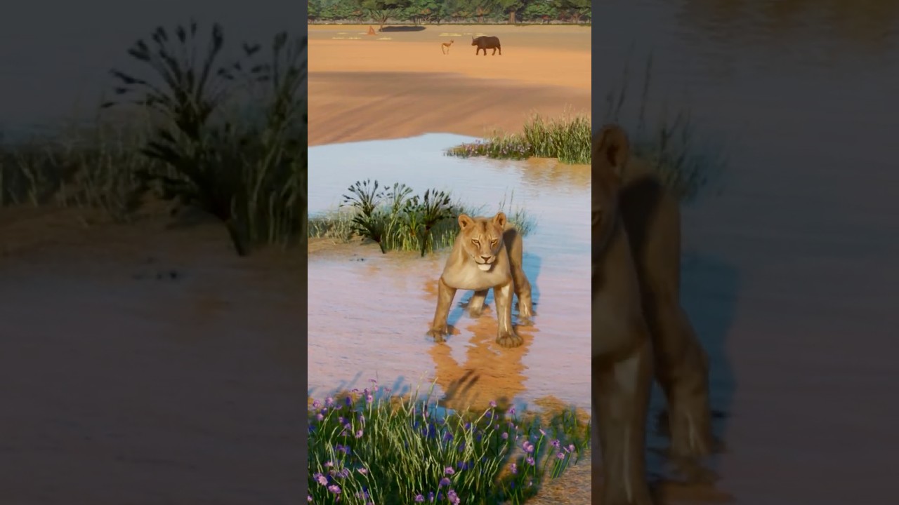 THE LION HUNT! | PLANET WILD #SHORTS #planetzoo
