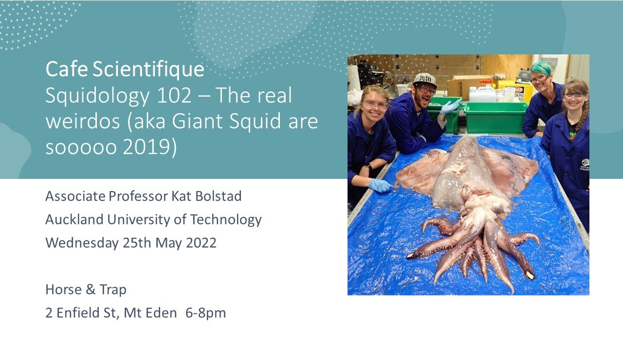 Caf&eacute; Scientifique: Squidology 102 &ndash; the real weirdos (May 2022) &ndash; A/Prof Kat Bolstad