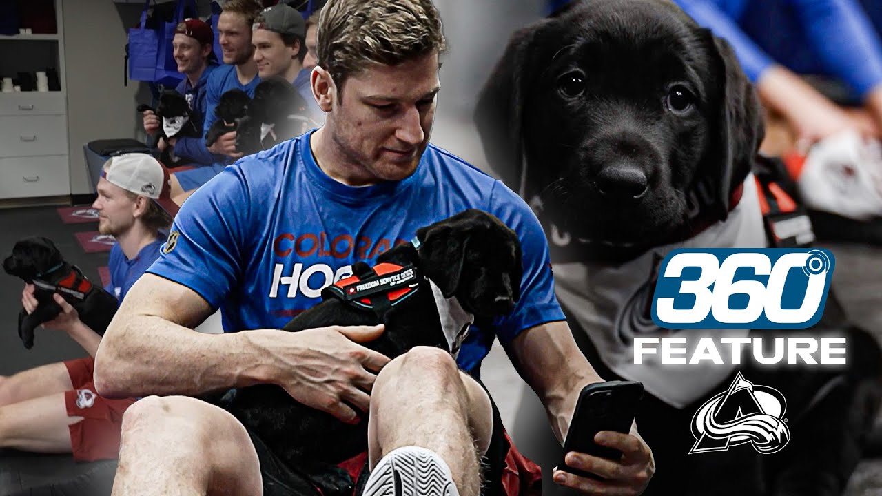 Avalanche Puppy Playdate | An Avs360 Feature