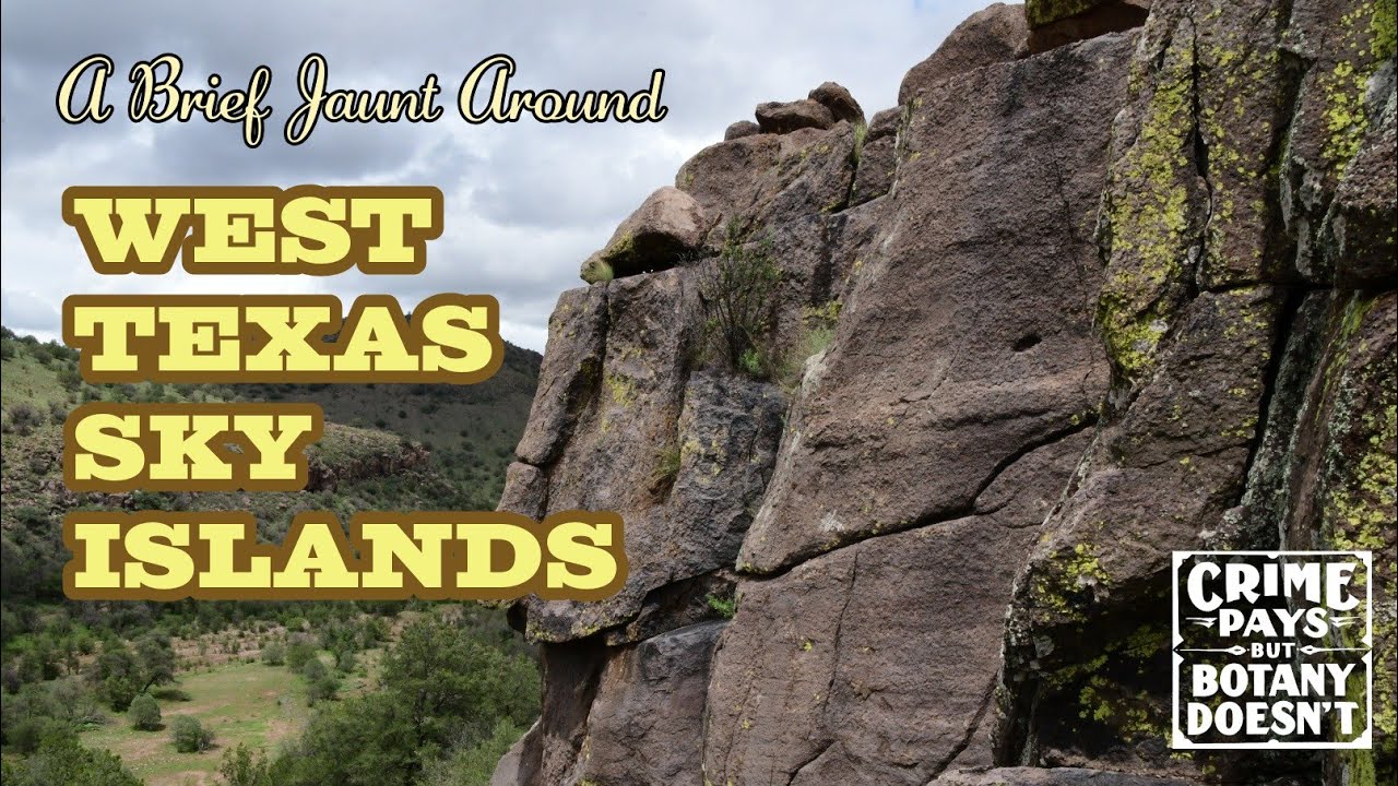 Davis Mountains Sashay