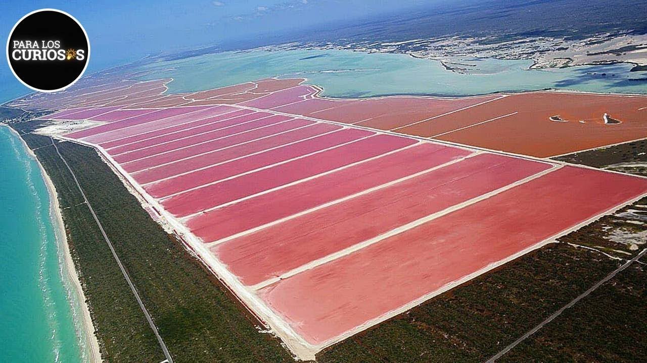 As&iacute; Son Las Incre&iacute;bles Aguas Rosadas De Las Coloradas En M&eacute;xico