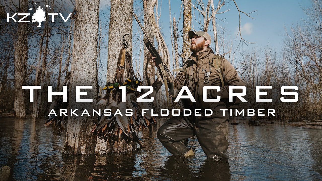 Mallards In The Flooded Timber!! (Arkansas Deadwood Hunt) K Zone TV: 