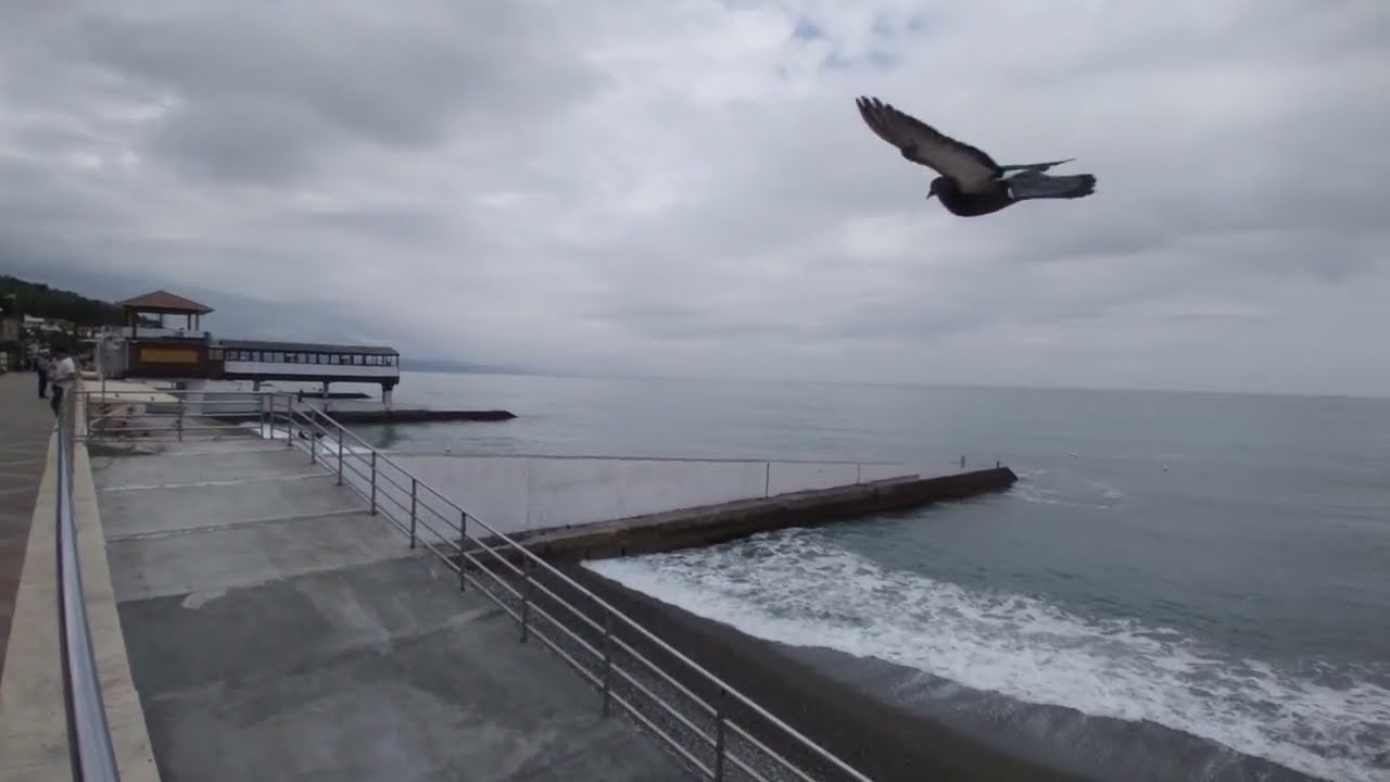 Алушта (Крым)