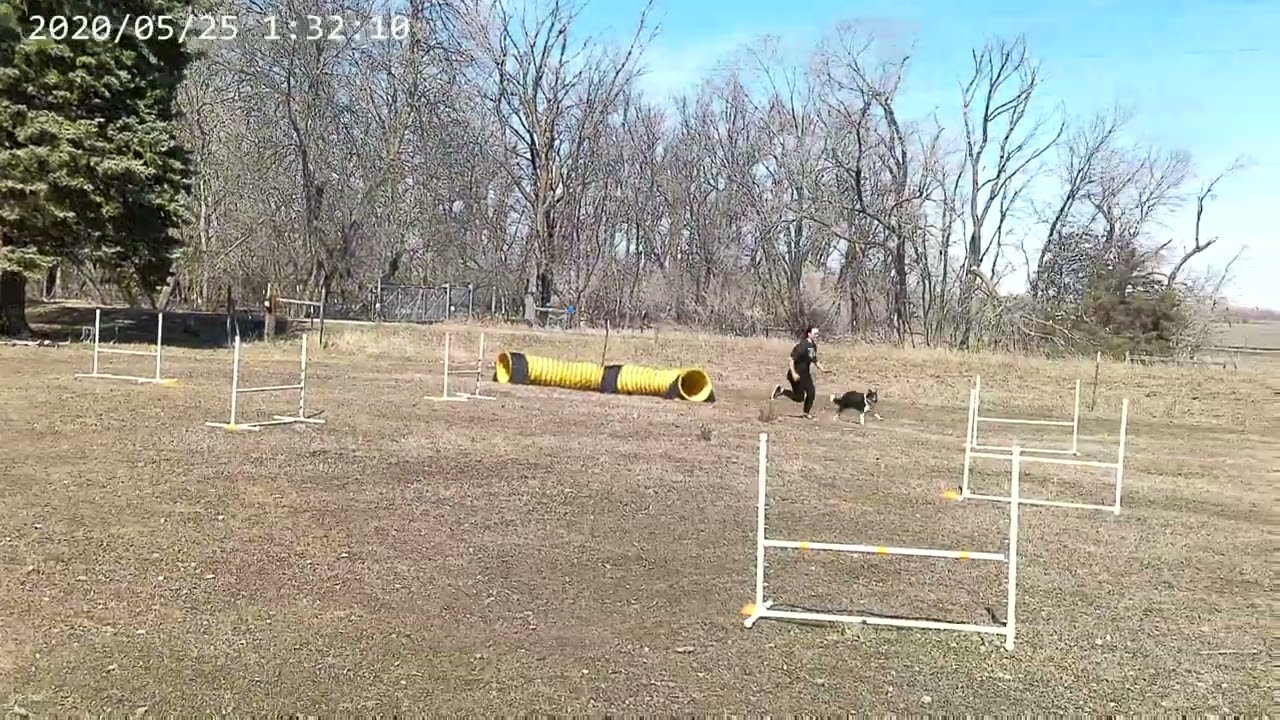 Eclps Dare Proton Novice Jumpers Run 2 - NQ