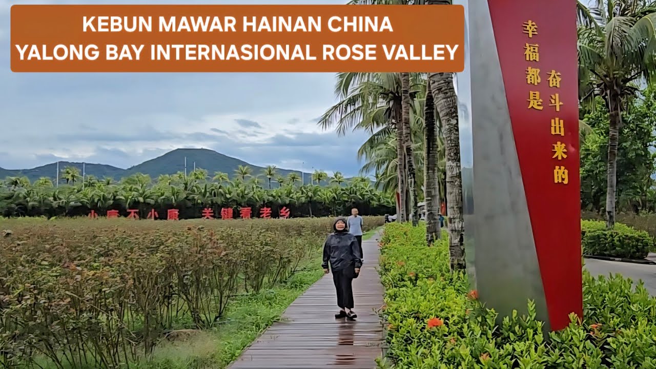 YALONG BAY INTERNATIONAL ROSE VALLEY | KEBUN MAWAR HAINAN | TAMAN MAWAR HAINAN CHINA #wisatahainan