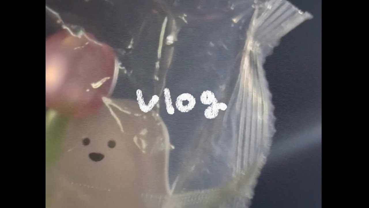 [Vlog] 久しぶりのおでかけ┆ごはんとガチャ🌷 [26.1.17]